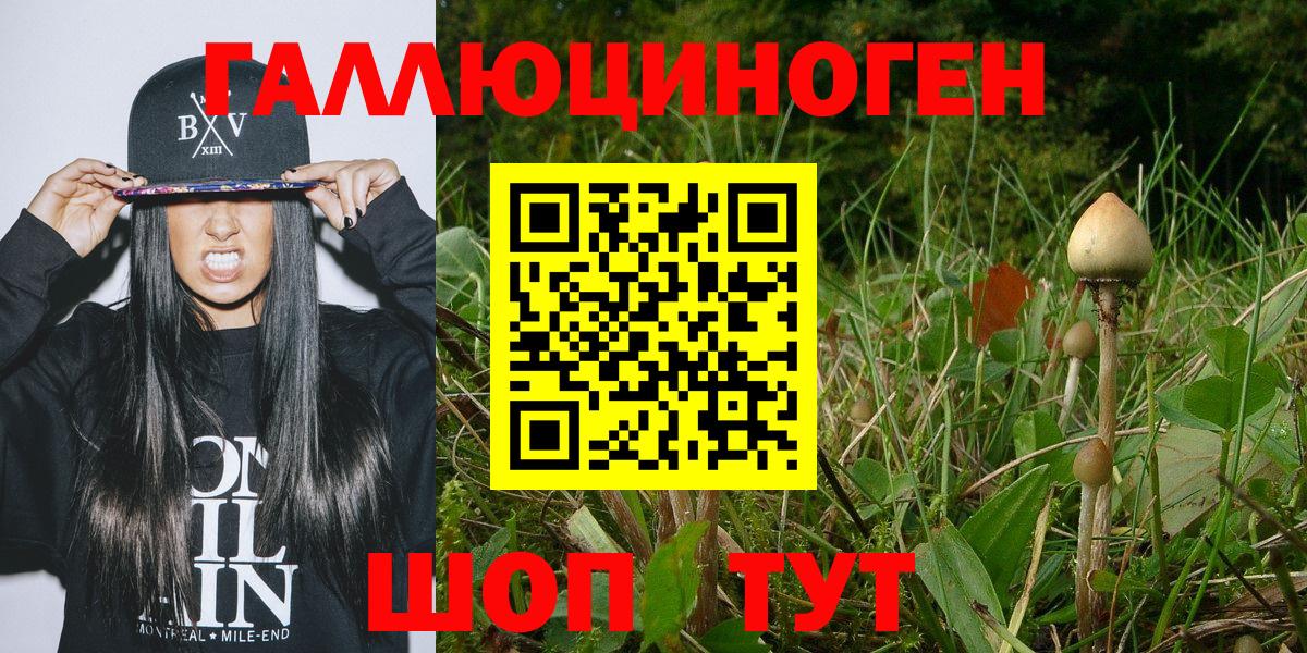 Галлюциногенные грибы прущие грибы  Вход с VPN  Кемерово  Псилоцибиновые грибы прущие грибы 