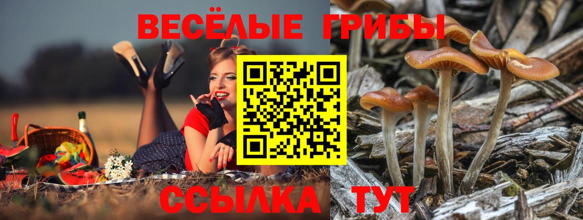 Псилоцибиновые грибы GOLDEN TEACHER Кемерово